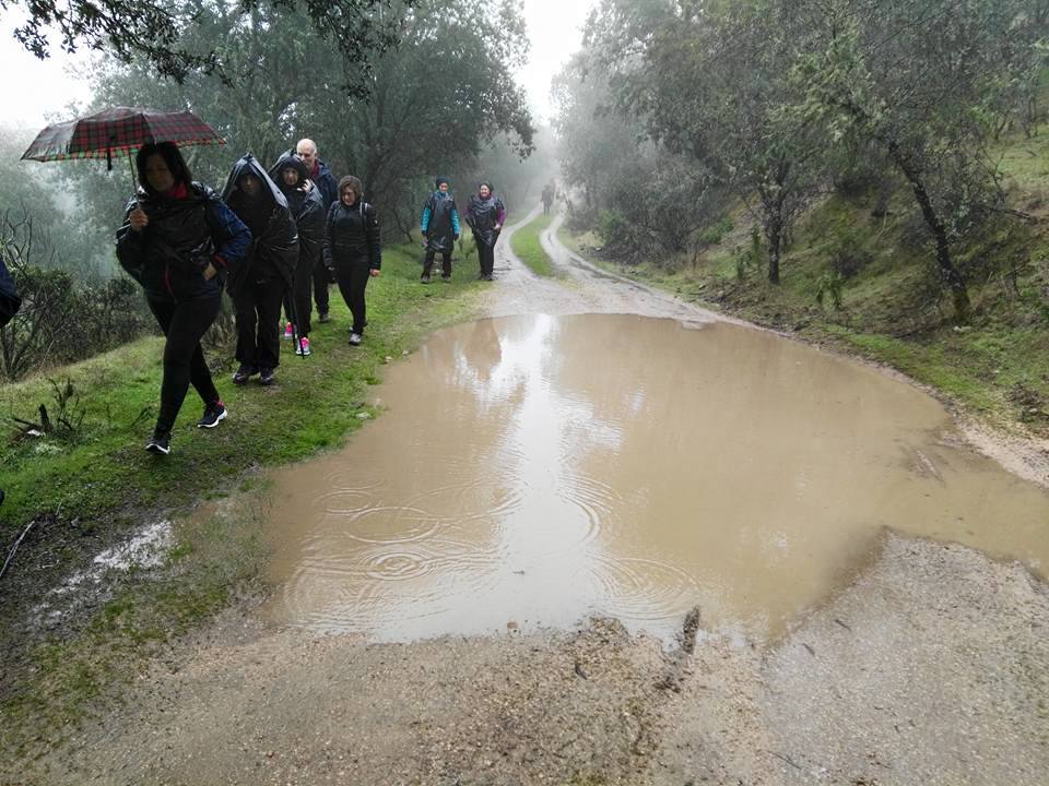 Galería imágenes Cardeña (05-03-17)